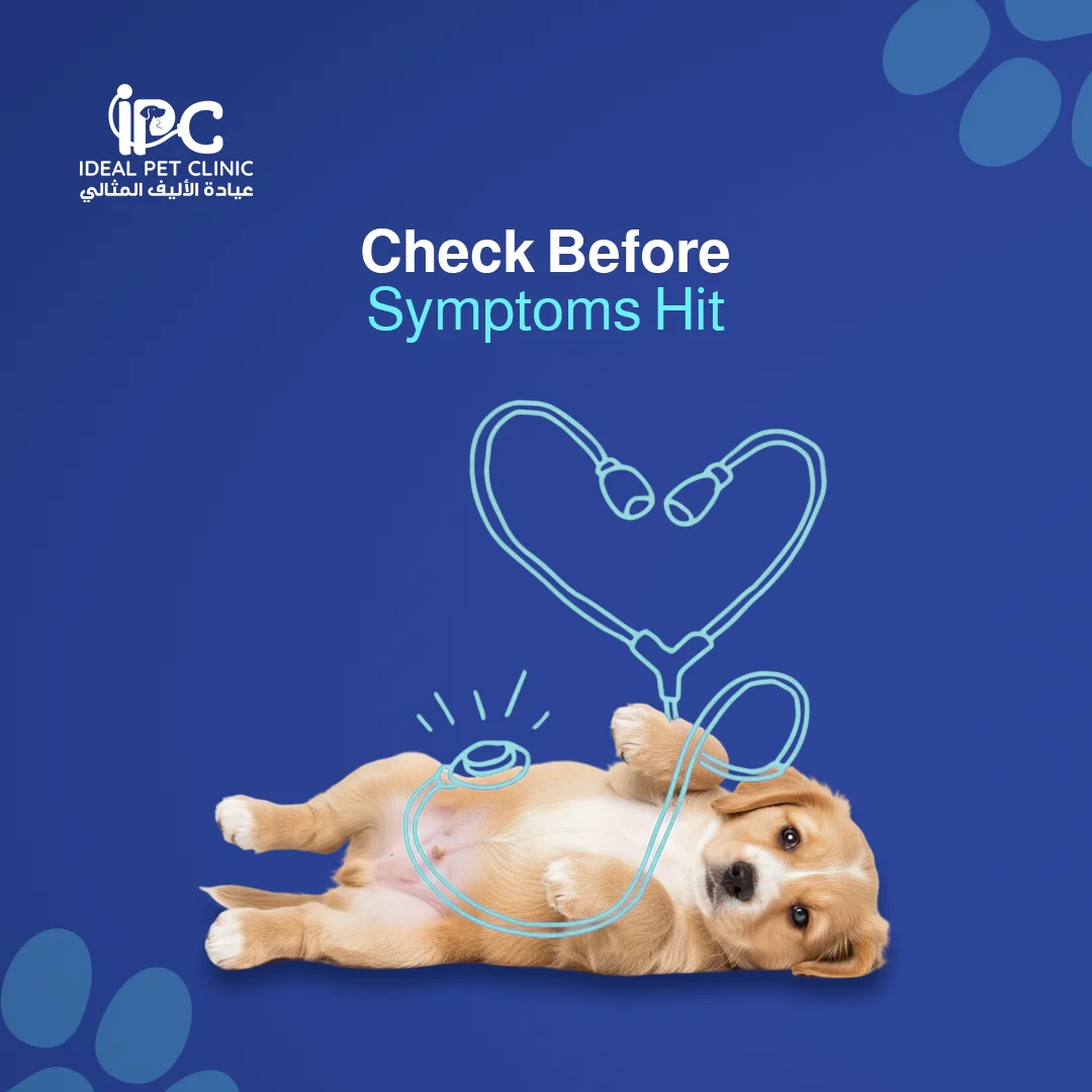 IPC