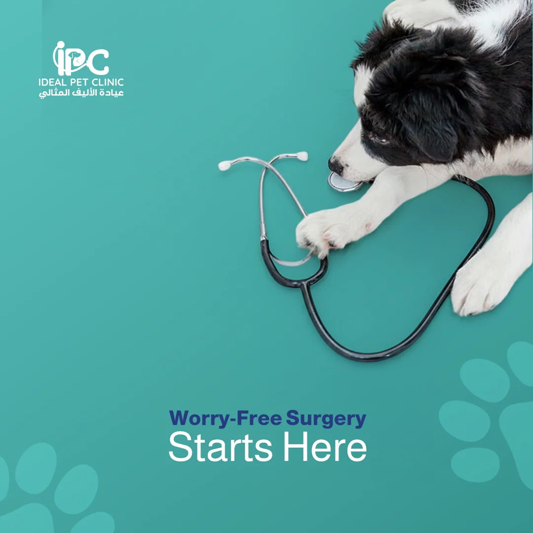 IPC
