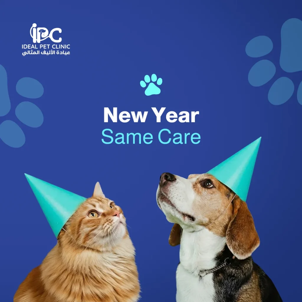 IPC — 15
