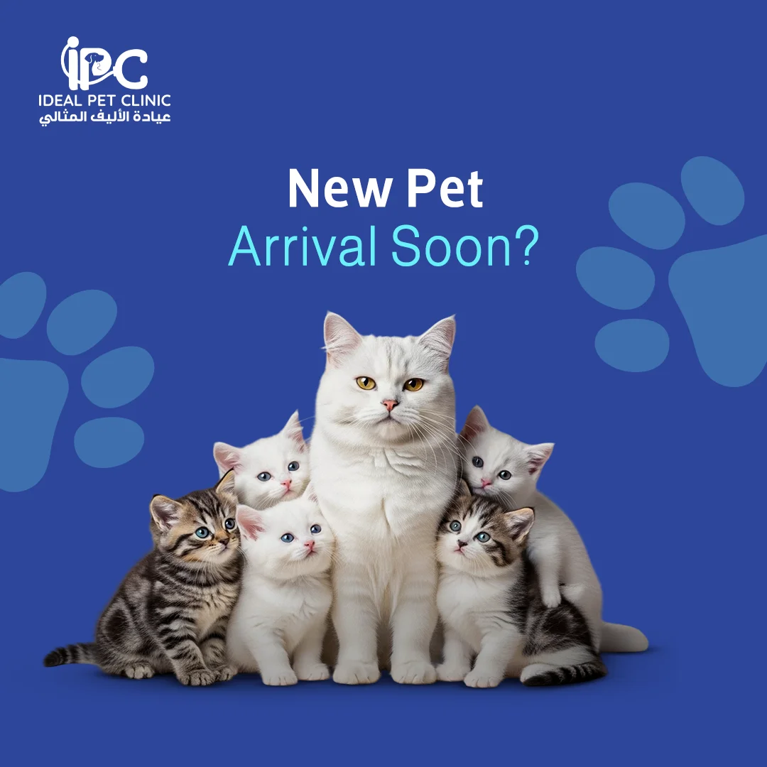 IPC
