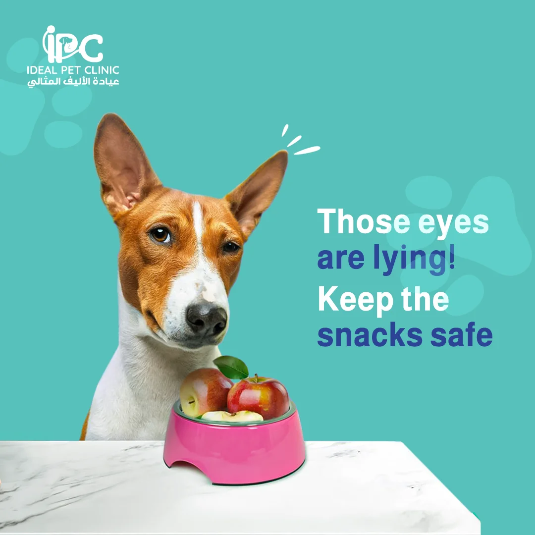 IPC
