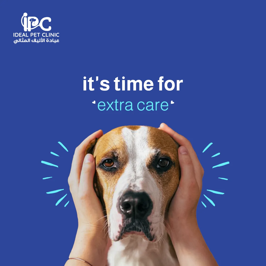 IPC
