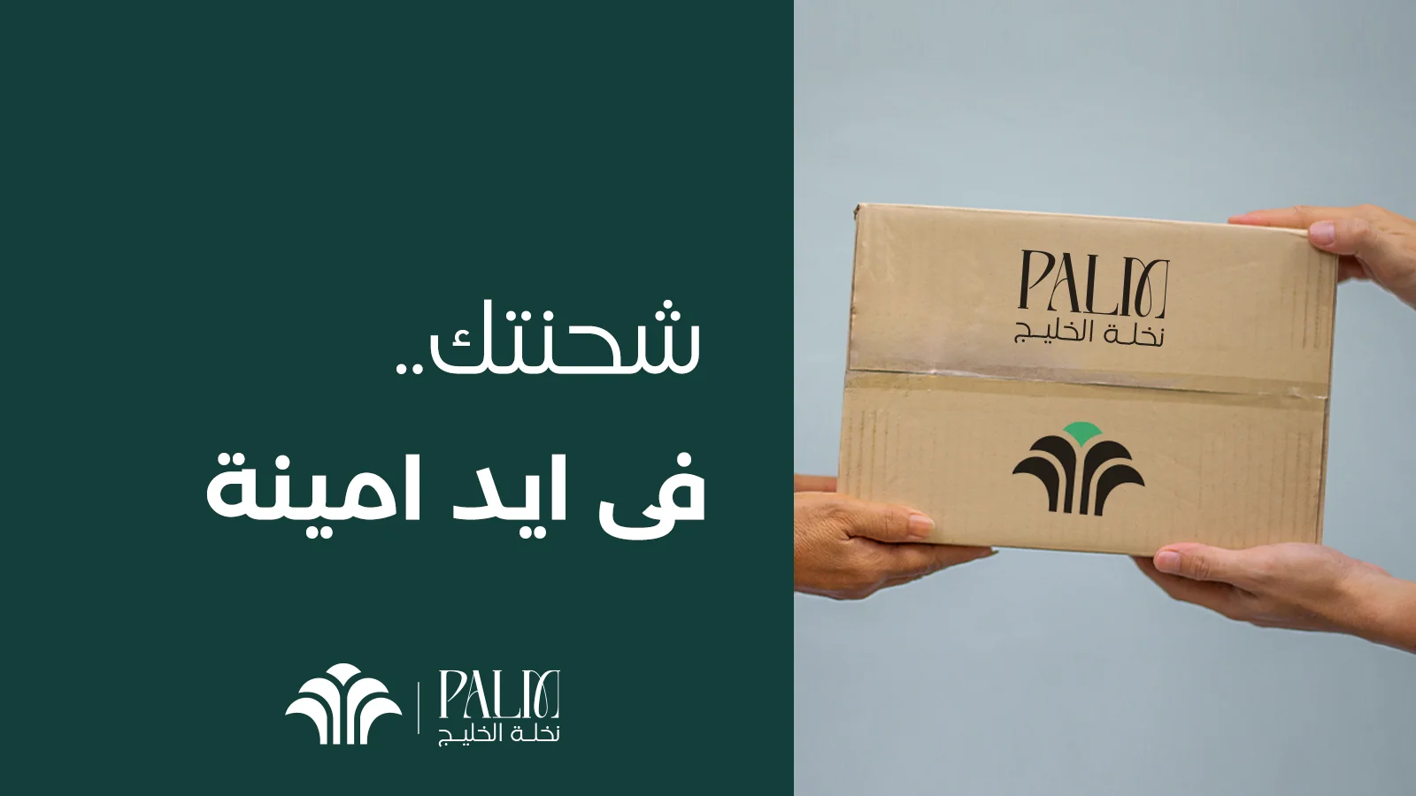 Palm